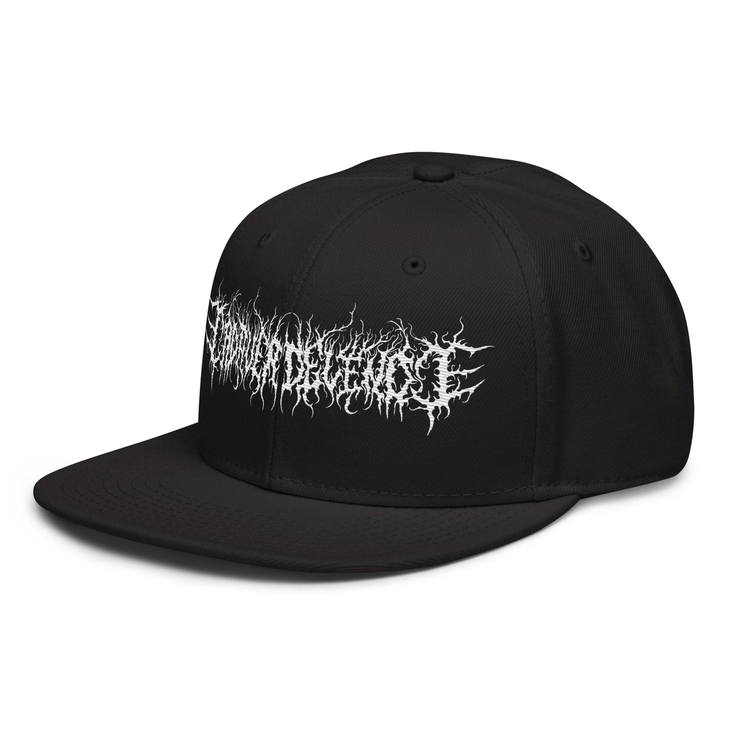 Logo Snapback Hat